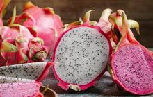 Manfaat Buah Naga, Sumber Nutrisi Penting bagi Kesehatan Ibu Hamil dan Janin