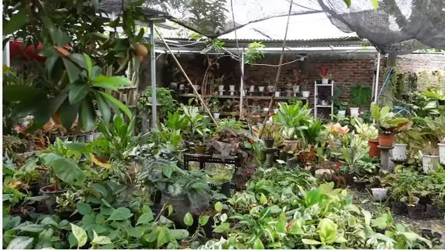 Sederhana, Ini 7 Potret Rumah Orang Tua Indah Permatasari