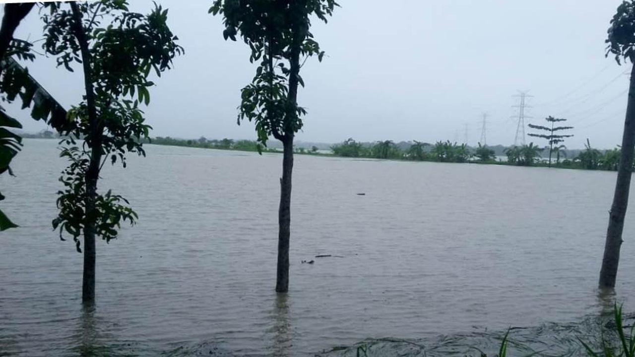 Sawah di Kebumen terendam banjir lebih dari sepekan. (Foto: Liputan6.com/Pusdalops PB Kebumen/Muhamad Ridlo)