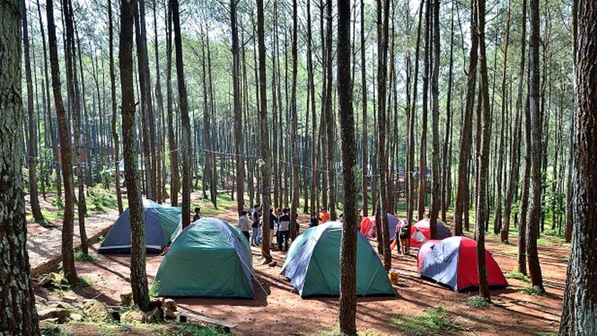 11 Tempat Berkemah di Jogja yang Wajib Dikunjungi Tahun 2025