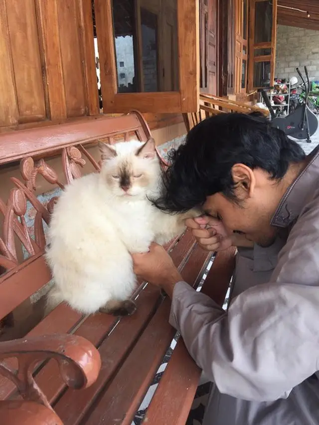 6 Momen Kompak Kucing dan Majikan Saling Minta Maaf Ini Bikin Senyum