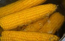 Cara Praktis untuk Mengolah Jagung Rebus agar Manis dan Empuk