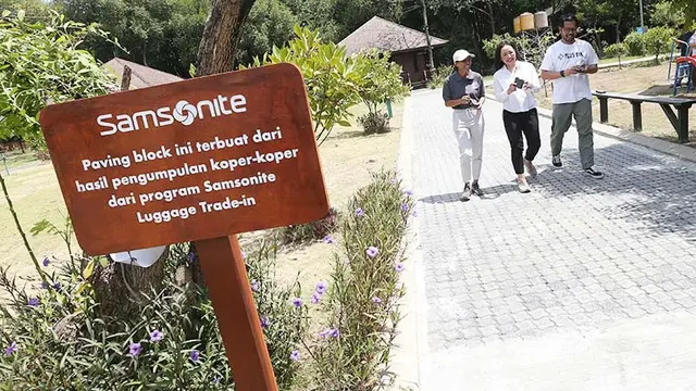 100.000 Paving Block Hasil Daur Ulang Tas Koper Samsonite Lindungi Taman Wisata Mangrove