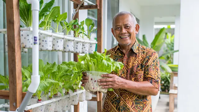 Ide Kebun Sayur untuk Bapak-Bapak Pensiunan (AI)