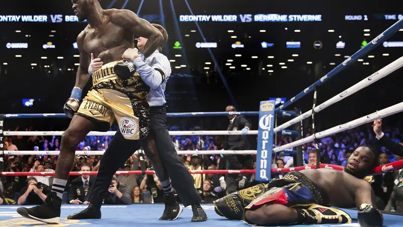 Deontay Wilder vs Bermane Stiverne