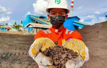 Capaian Gemilang: Produksi Energi Bersih Biomassa PLN IP Tembus 1.101,59 GWh di 2025