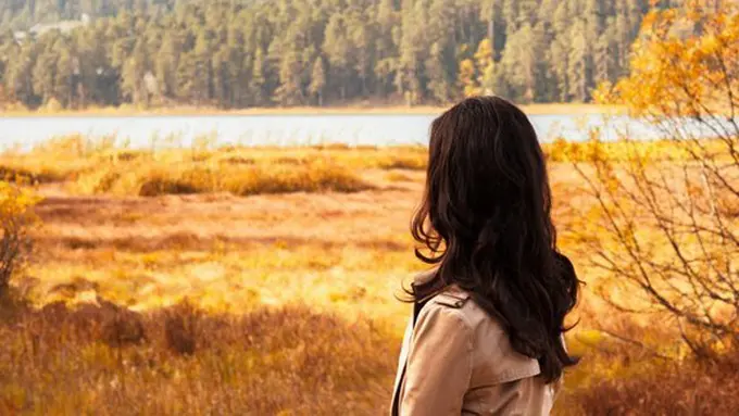 Ilustrasi./Copyright pixabay.com