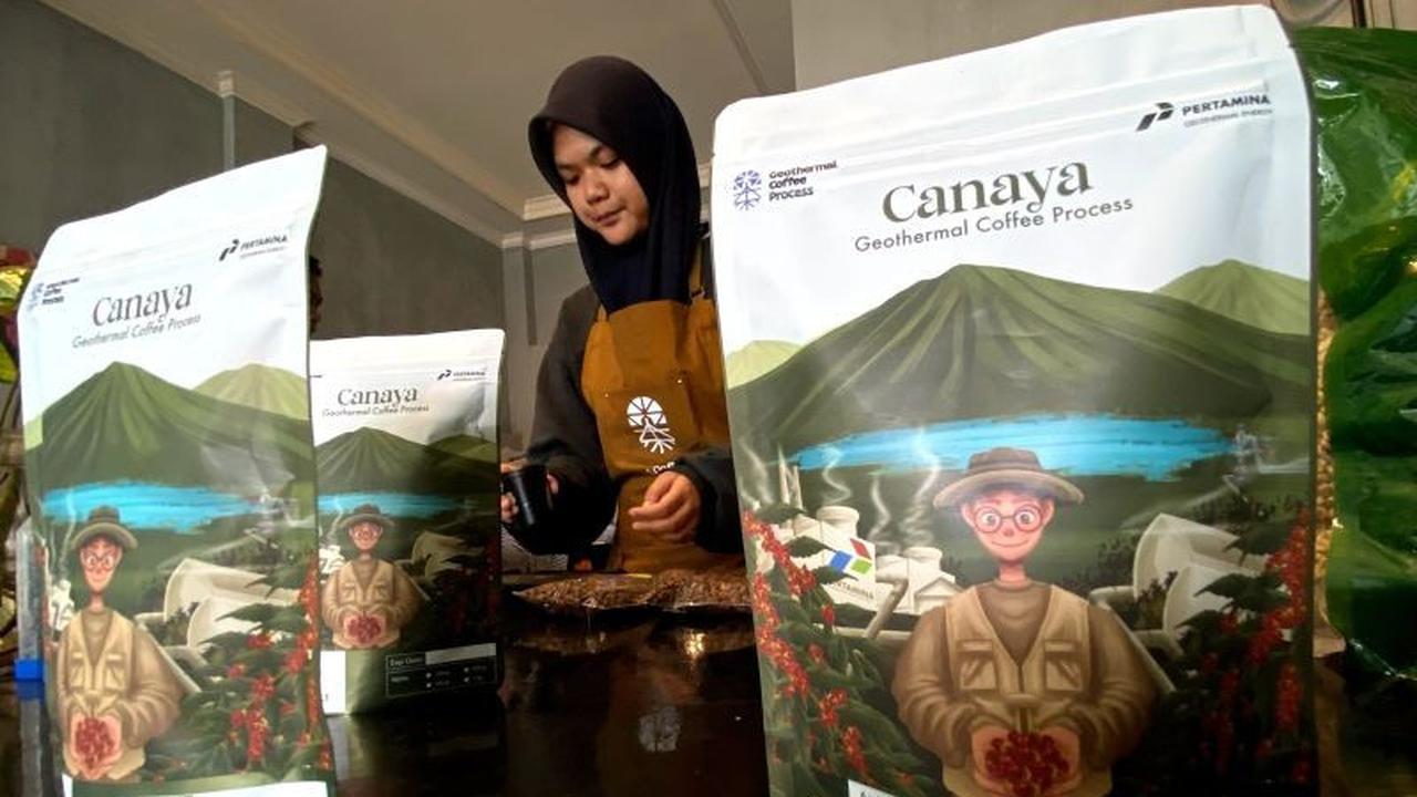 Kopi Geotermal Kamojang: Mengapa Canaya, Kopi 'Belum Ada' dari Kamojang, Jadi Rebutan Pasar Ekspor?