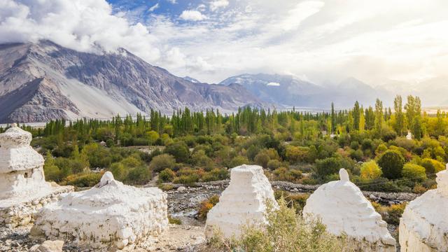 Nubra Valley, Ladakh
