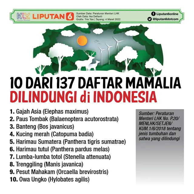 infografis journal