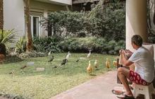 Intip Rumah Mewah Bos Jalan Tol Jusuf Hamka, Ternyata Gemar Beri Makan Sendiri ke Hewan Peliharaan Langka