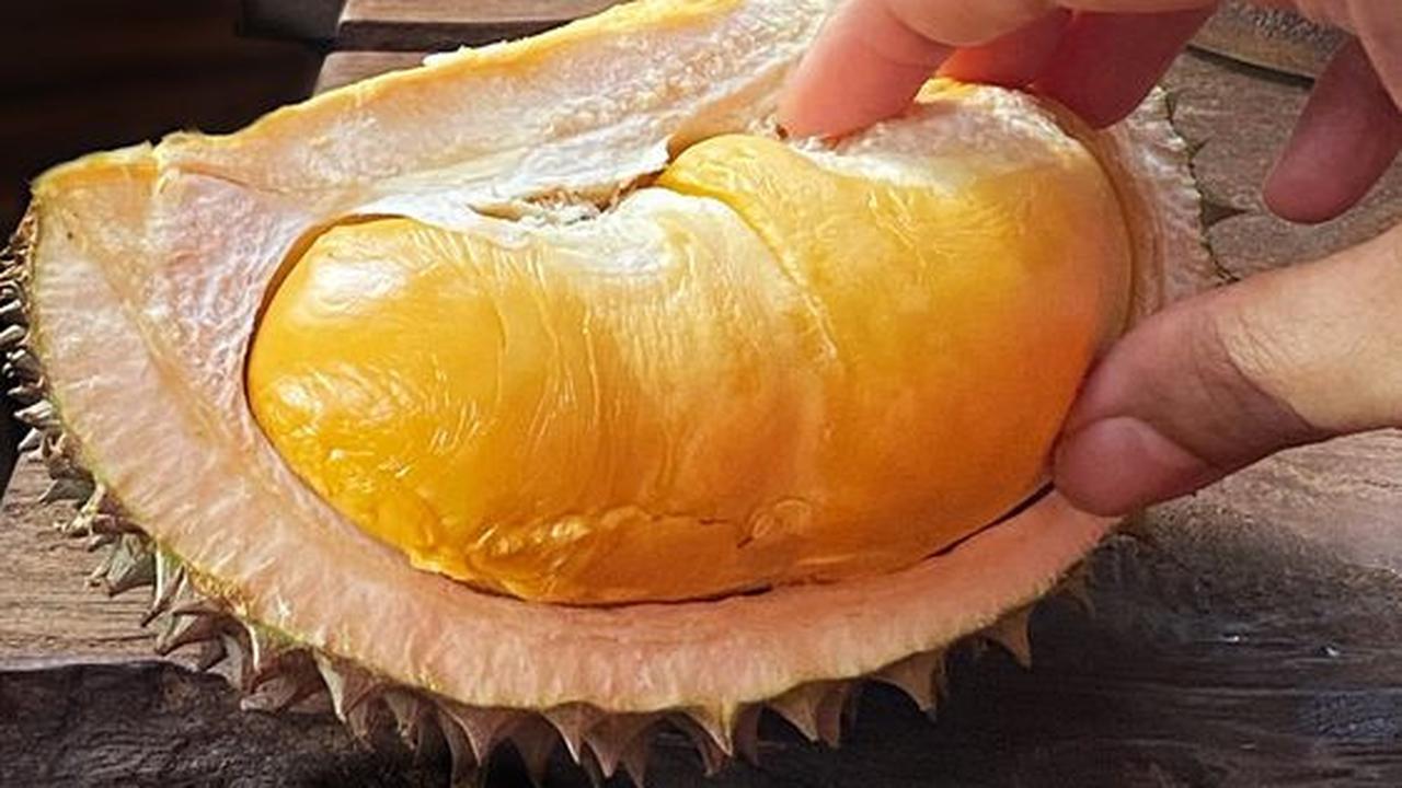 Lagi Musim! Begini Cara Pilih Buah Durian yang Matang dan Manis