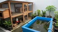 Berapa Modal Ternak Lele dan Ayam di Rumah? Ini Perhitungan dan Persiapannya