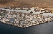 Fakta Menarik 'Neom' Proyek Kota Futuristik yang Akan Legalkan Miras di Arab Saudi