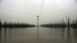Kabut menutupi lanskap di daerah banjir dekat Sungai Ebro di desa kecil Alcala de Ebro, provinsi Aragon, Spanyol utara (13/12/2021). Hujan deras menyebabkan banjir di Spanyol utara. (AP Photo/Alvaro Barrientos)