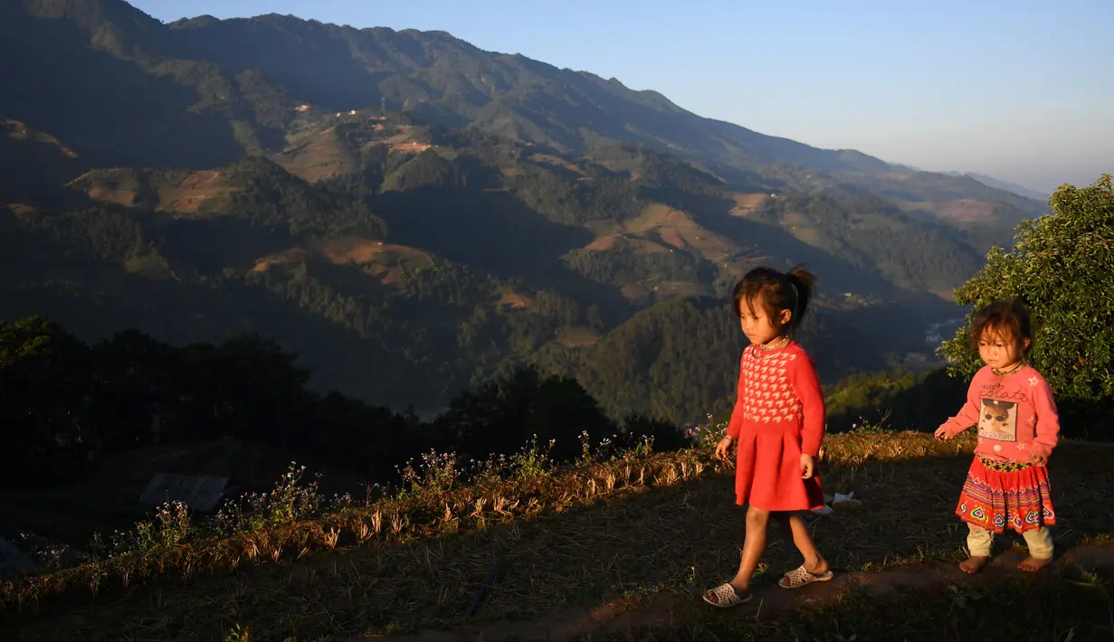 Anak-anak etnis Hmong berjalan di sepanjang sawah terasering di provinsi Yen Bai, Vietnam pada 28 November 2021. Sawah sangat indah pada bulan September dan Oktober, ketika tanaman berubah menjadi kuning mengkilap. (Nhac NGUYEN / AFP)