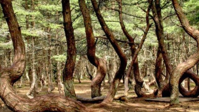 7 Fenomena Alam Langka yang Buktikan Bumi adalah Planet Penuh Misteri