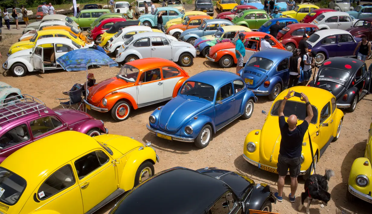 Ratusan mobil Volkswagen Beetle dipamerkan dalam ajang pertemuan tahunan "Beetle club" di Yakum, Israel tengah (21/4). Klub Beetle Israel ini didirikan pada tahun 2001 dengan anggota sekitar 500 orang. (AP Photo / Oded Balilty)