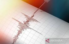 Gempa Magnitudo 4,8 Guncang Keerom Papua, BMKG Rilis Data Awal
