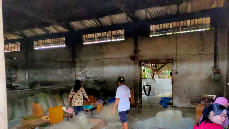 Pengemasan Mi Sohun Diduga Tercampur Kecoa di Banyuasin Masih Berjalan