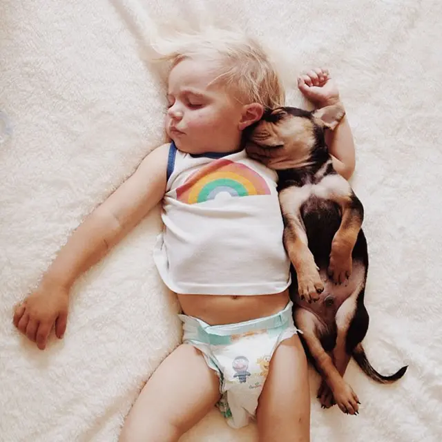7 Potret Kocak Bayi Tidur Bareng Hewan Peliharaan Ini Gemas