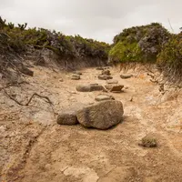 Ilustrasi Kekeringan Credit: pexels.com/Matt