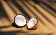 Fakta Unik: Air Kelapa Tua, Minuman Rendah Kalori dengan Segudang Manfaat Kesehatan