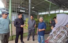 Antisipasi Kelangkaan, Pemkab Rejang Lebong Usulkan Penambahan Kuota Elpiji Bersubsidi
