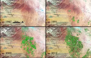 Pemandangan hijau dari tahun 1980-an hingga awal 2010-an di utara Arab Saudi. Dok: NASA