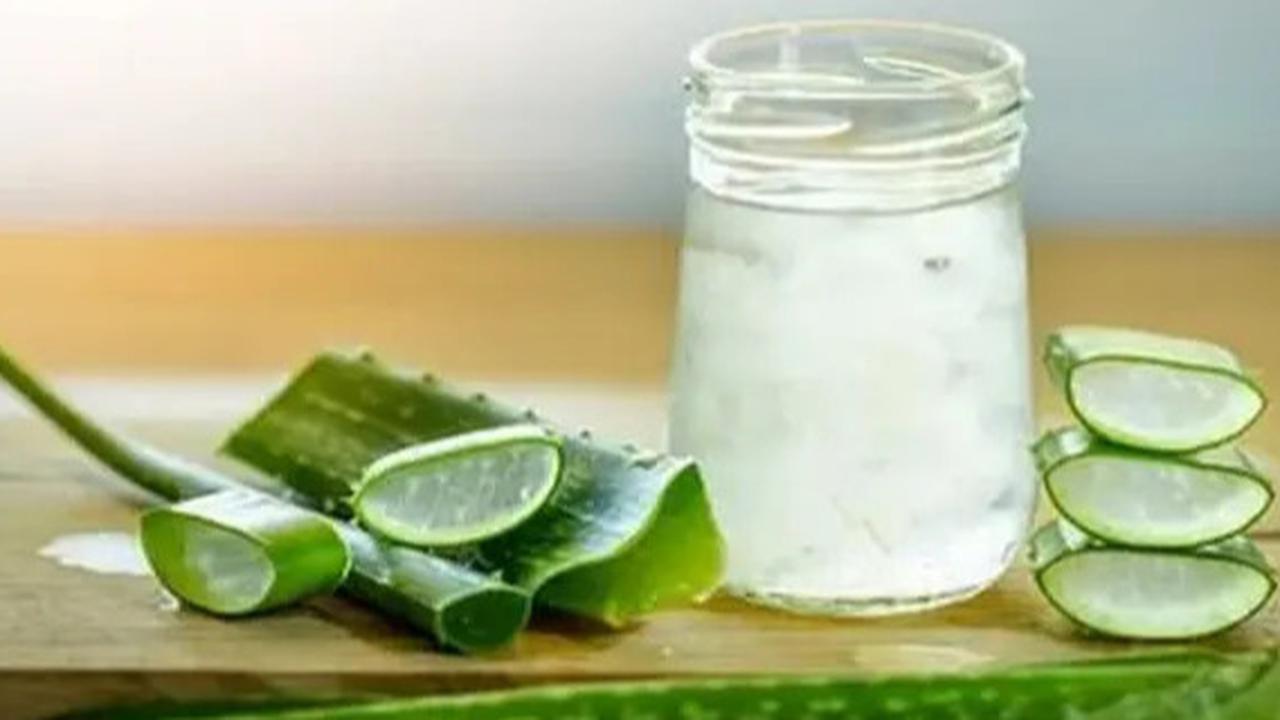 Resep Es Lidah Buaya untuk Buka Puasa, Obat Penghilang Dahaga Secepat Kilat
