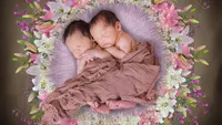 Ilustrasi bayi kembar. (Gambar oleh Bianca Van Dijk dari Pixabay)