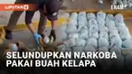 Aksi penyelundupan narkoba berhasil diungkap aparat di Meksiko. Sindikat perdagangan menggunakan modus baru, membungkus narkoba dengan buah kelapa.