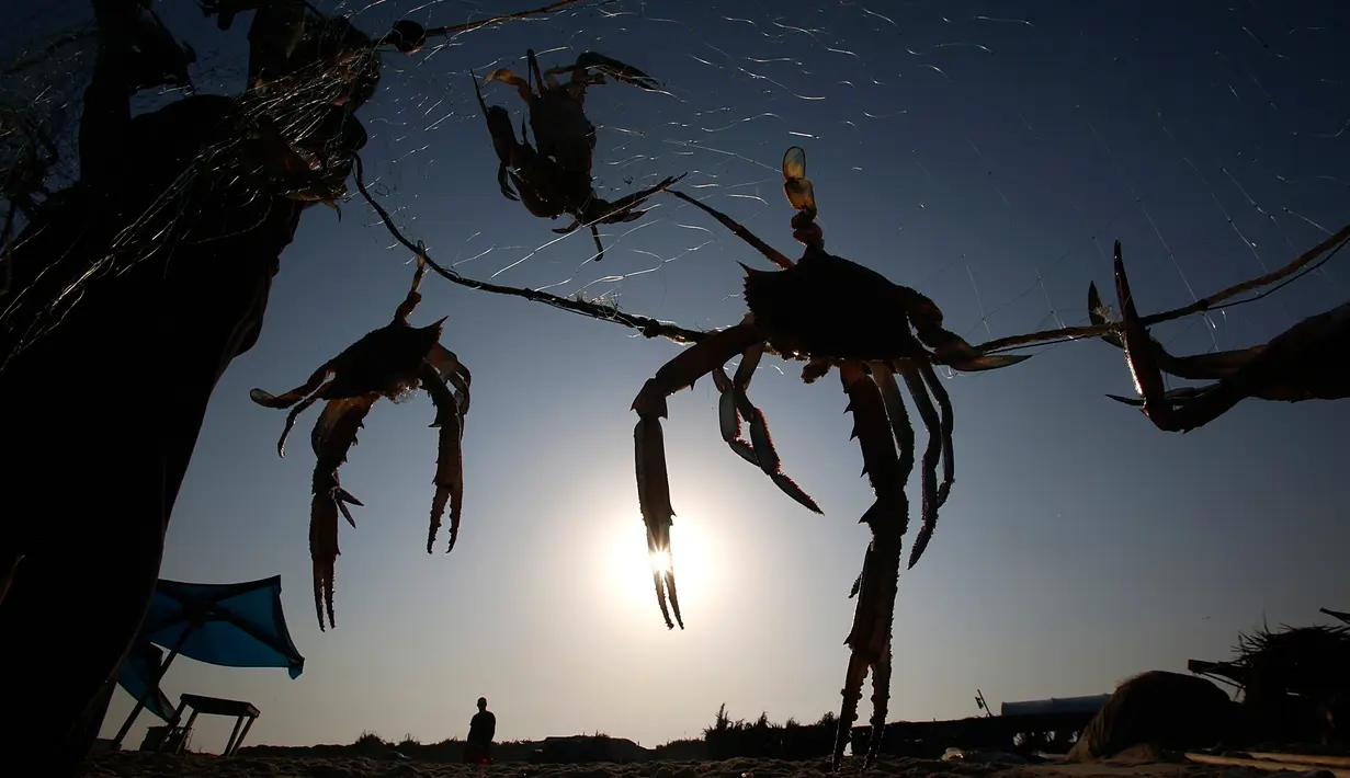 Nelayan Palestina menangkap kepiting di pantai laut Mediterania di Beit Lahyia, Jalur Gaza utara pada 21 September 2020. (AP Photo / Hatem Moussa)