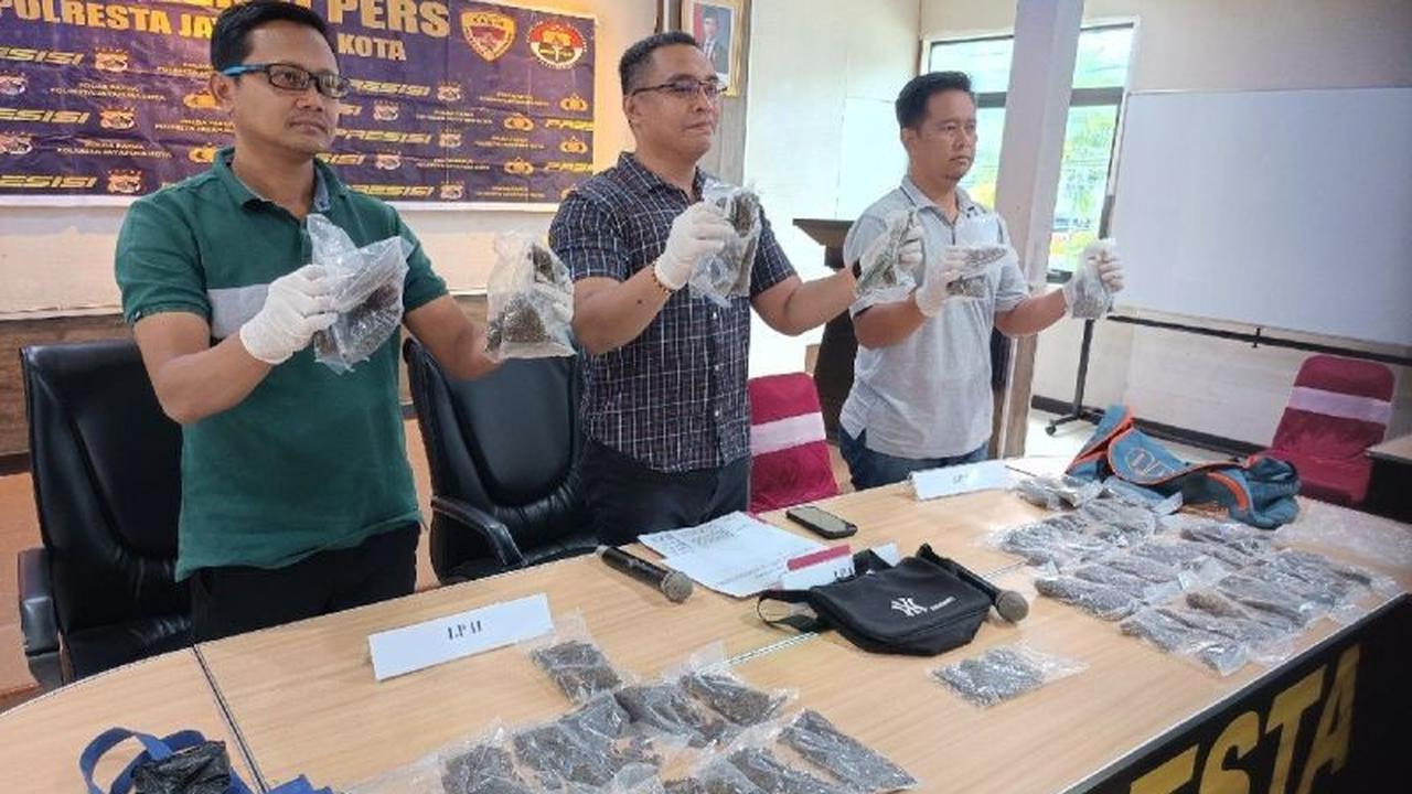 Polresta Jayapura Kota Ringkus Empat Pengedar Ganja, Puluhan Paket Siap Edar Disita