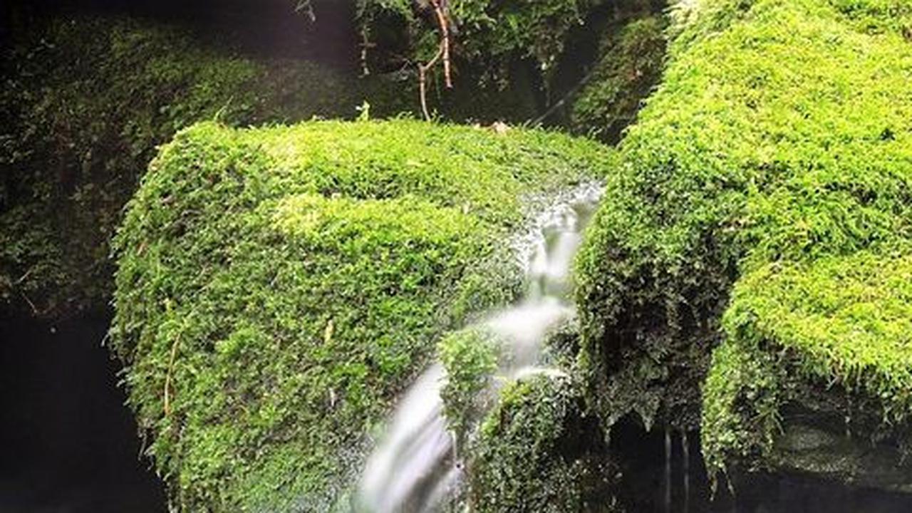 6 Wisata Tegal Populer, Destinasi Liburan Seru dan Menyenangkan