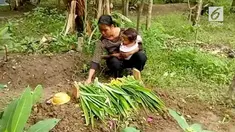 Seorang bayi berumur tujuh bulan meninggal dunia setelah sebelumnya ditolak berobat di Puskesmas.