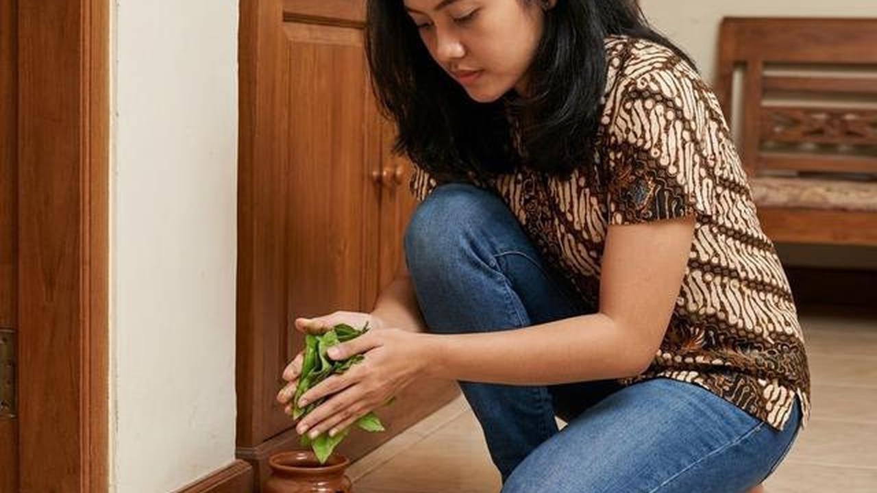 Cara Agar Tikus Tidak Buang Kotoran di Tempat yang Sama, Dijamin Kapok
