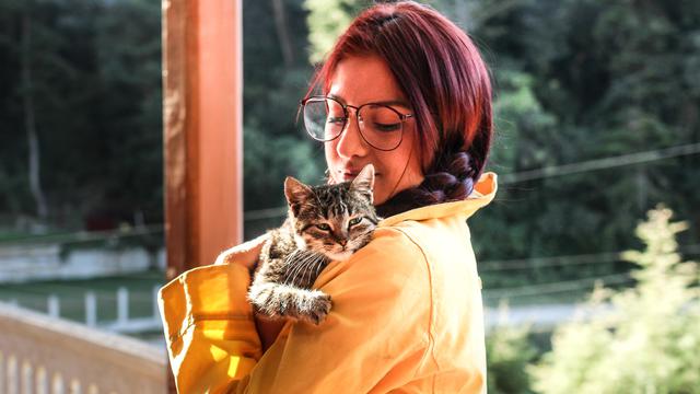 Ilustrasi nama kucing jantan