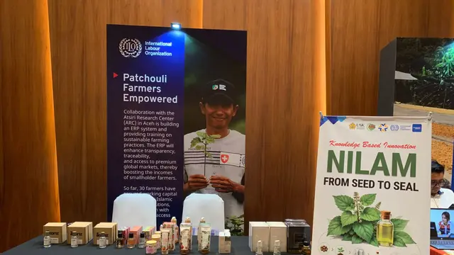Program PROMISE II Impact mencatat total akses pembiayaan dan tabungan formal Rp 584,3 miliar bagi 25.378 pelaku usaha mikro, kecil, dan menengah (UMKM).