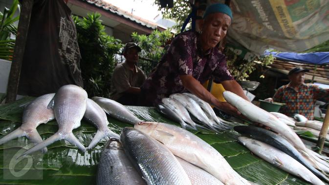 Penjual ikan bandeng mulai marak di Rawabelong, , Jakarta, Jumat (5/2/2016). Banyaknya penjual ikan bandeng dipicu perayaan Imlek yang mempunyai tradisi menyediakan Pindang Bandeng. (Liputan6.com/Angga Yuniar)