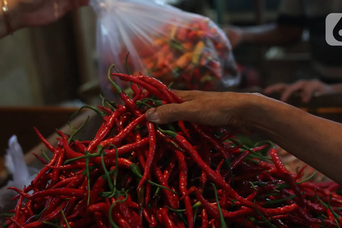 Harga Cabai