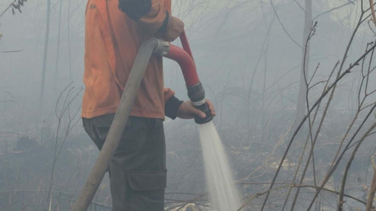 Aksi tim gabungan terobos asap tebal padamkan kebakaran hutan Riau