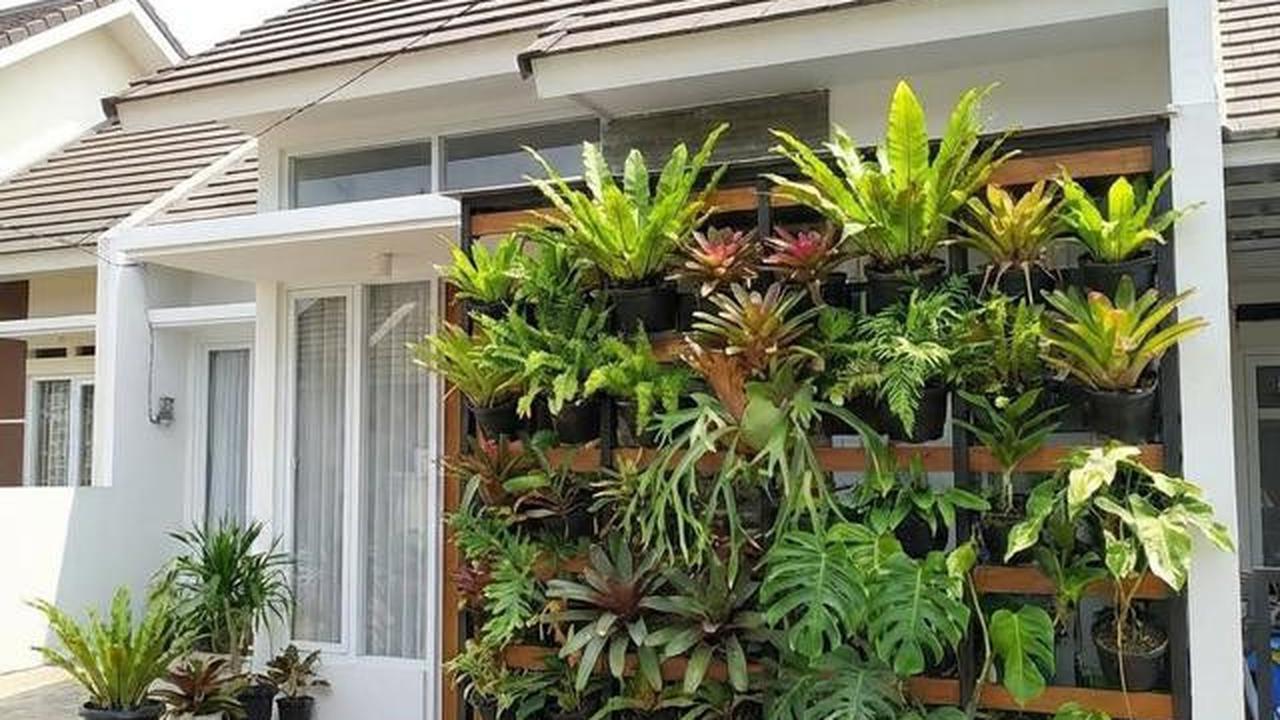 7 Model Taman Rumah Ideal dan Sehat untuk Keluarga, Hunian Asri Nyaman Ditinggali
