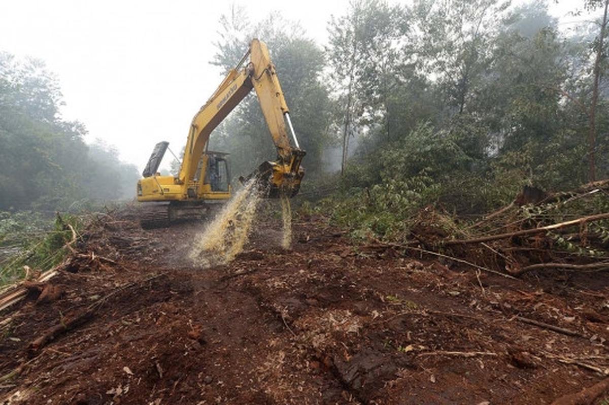 Kisah pekerja kebun kelapa sawit berjibaku padamkan kebakaran hutan