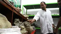 Impikan Museum, Pemburu Fosil Gajah Purba di Brebes Bentuk Tim