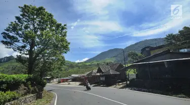 Kondisi jalanan di kawasan Puncak yang terlihat sepi, Bogor (29/03). Akibat terjadi longsor di Ciloto, sejumlah jalan di kawasan puncak ditutup. (Merdeka.com/Arie Basuki)