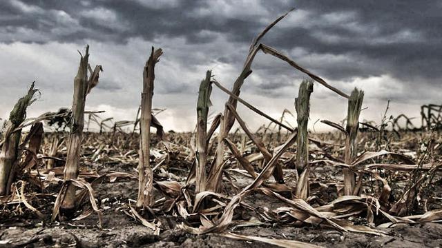 Ilustrasi Liputan Khusus El Nino