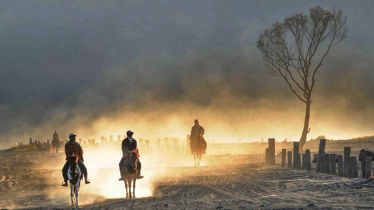 FOTO: Kilau Emas Matahari Pagi di Bromo yang Tak Pernah Kehilangan Pesona