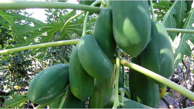 Photo: Copyright Thinkstockphotos.com