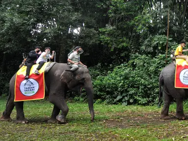 Pengunjung berkeliling dengan gajah di Taman Safari Indonesia (TSI) di Cisarua, Bogor, Kamis (20/5/2021). Walaupun libur lebaran sudah berakhir wiasatawan masih memadati kawasan TSI Bogor dengan menerapkan protokol kesehatan dan membatasi pengunjung hingga 50 persen.
(merdeka.com/ Arie Basuki)